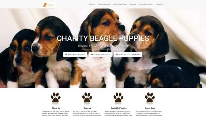 Screenshot of