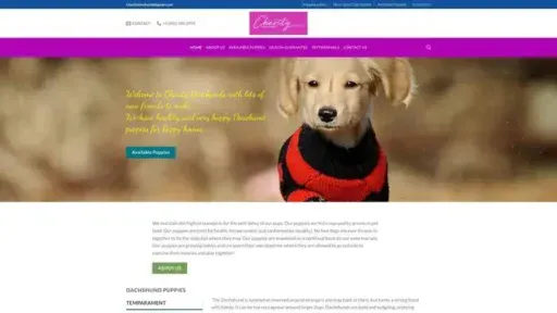Screenshot of