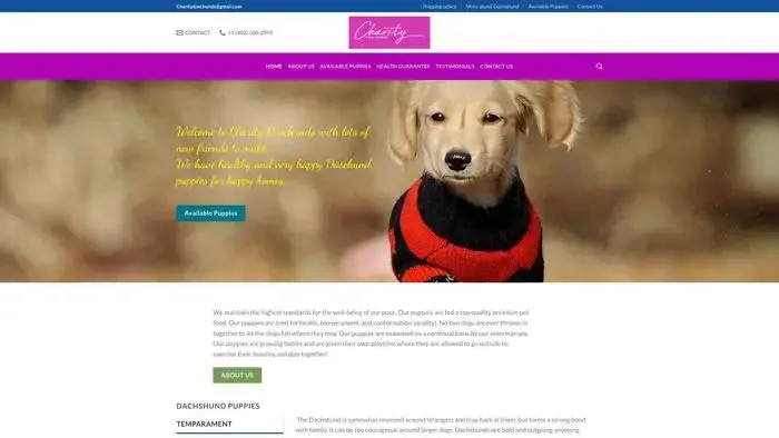 Screenshot of