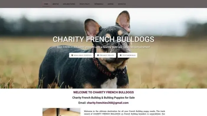 Screenshot of