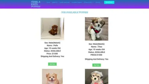 Screenshot of