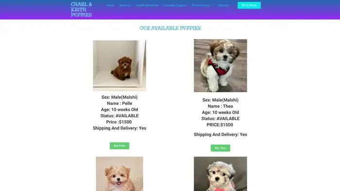 Screenshot of