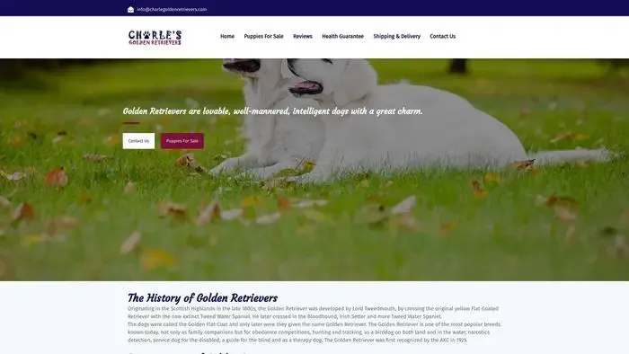 Screenshot of