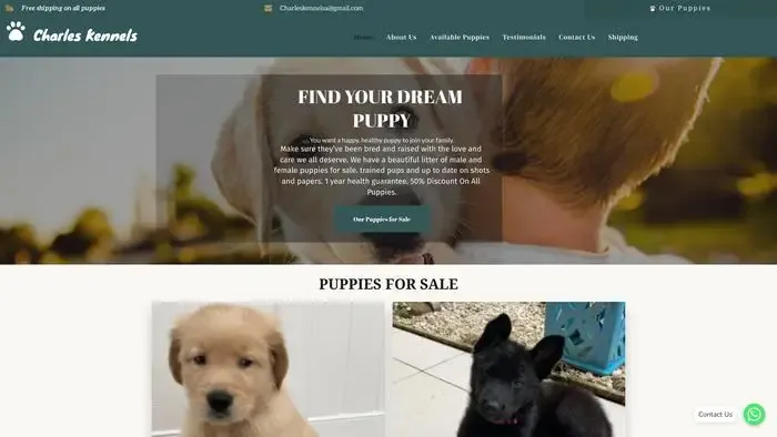 Screenshot of
