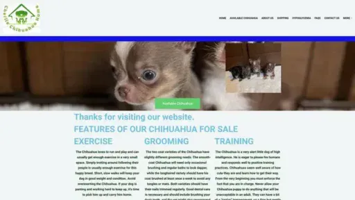 Screenshot of