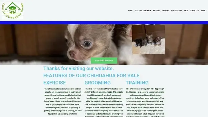 Screenshot of