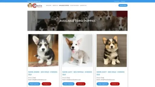 Screenshot of