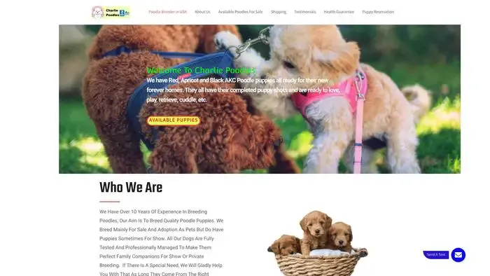 Screenshot of
