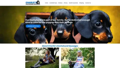Screenshot of