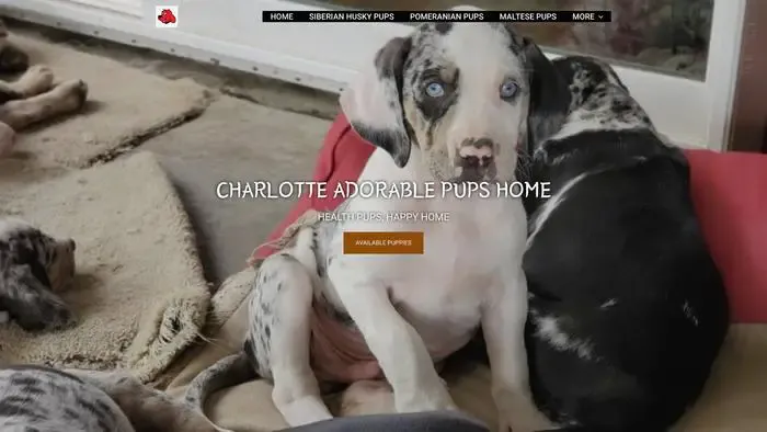 Screenshot of