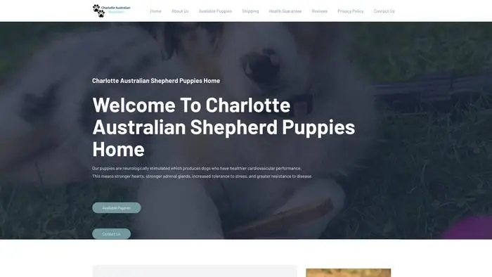 Screenshot of
