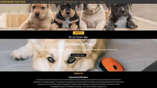 Screenshot of