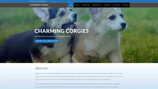 Screenshot of