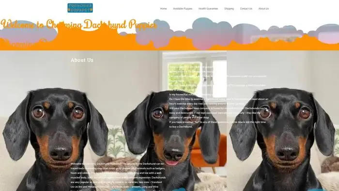 Screenshot of