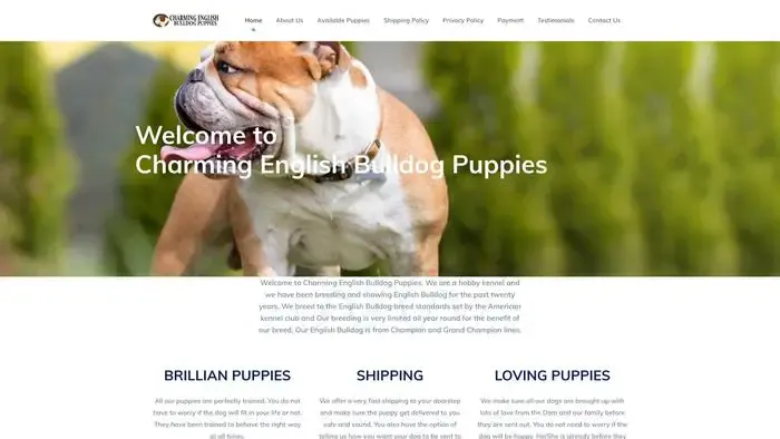 Screenshot of