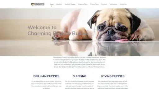 Screenshot of