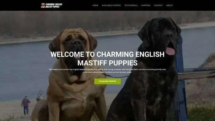 Screenshot of