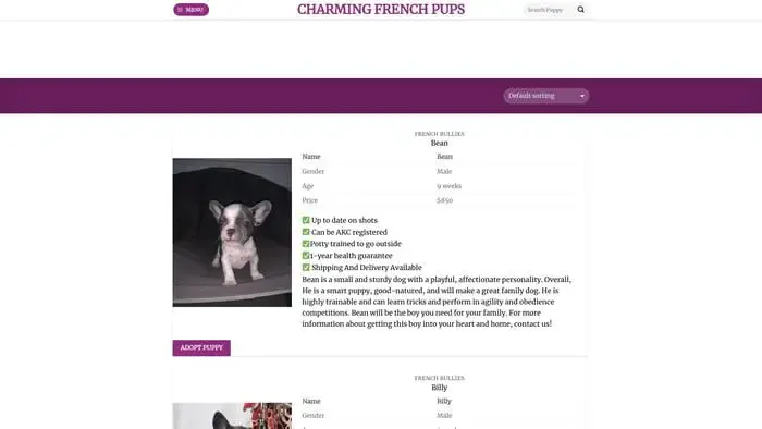 Screenshot of