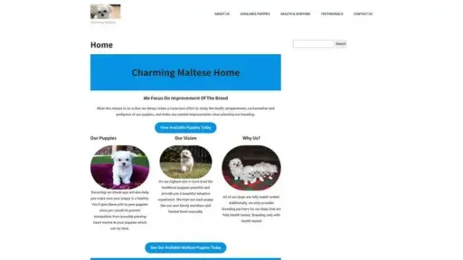 Screenshot of