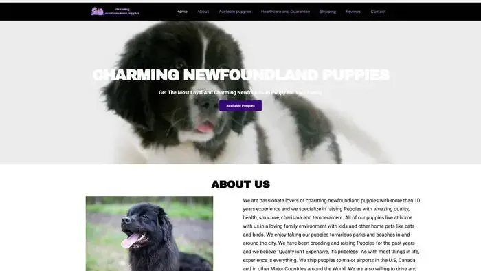 Screenshot of