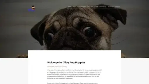 Screenshot of