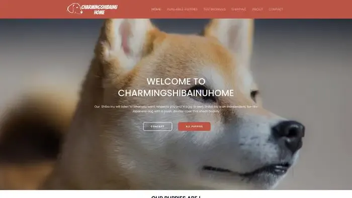 Screenshot of