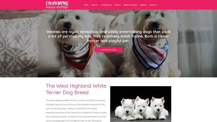 Screenshot of