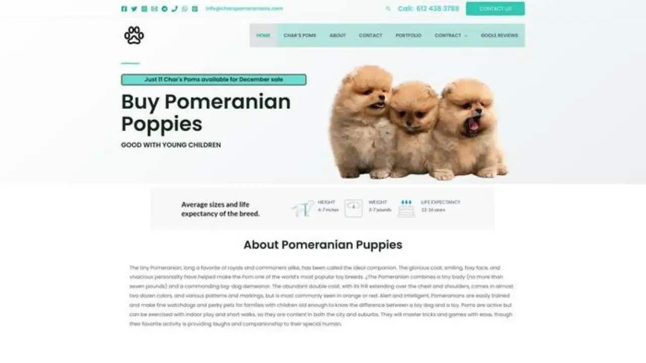 Charspomeranians