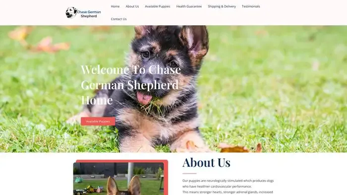 Screenshot of