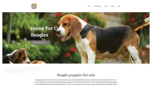 Screenshot of