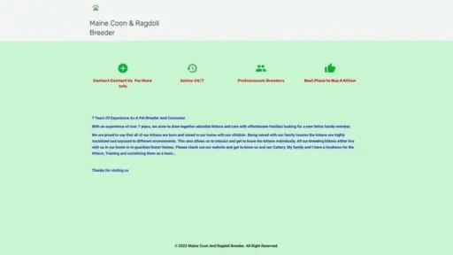 Screenshot of