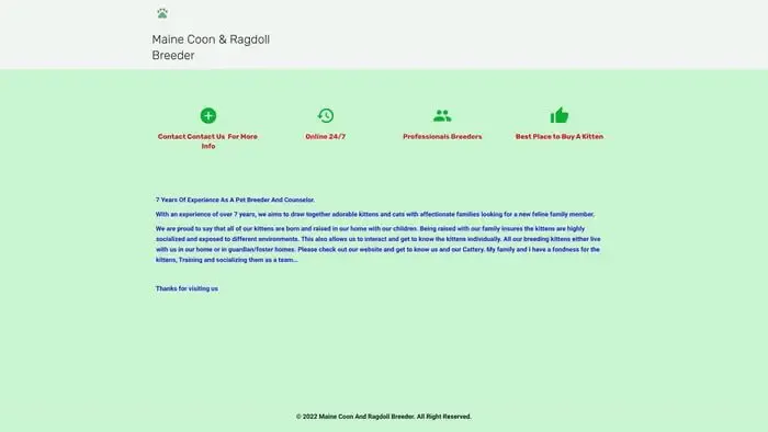 Screenshot of