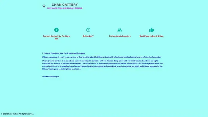 Screenshot of