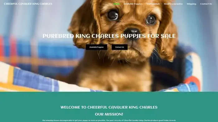 Screenshot of