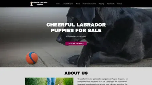 Screenshot of