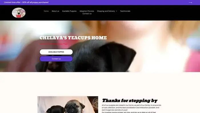 Screenshot of