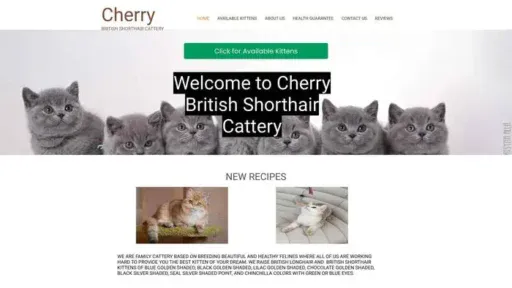 Screenshot of
