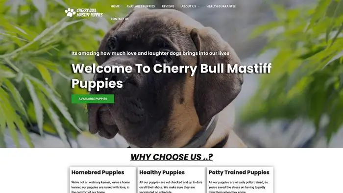 Screenshot of