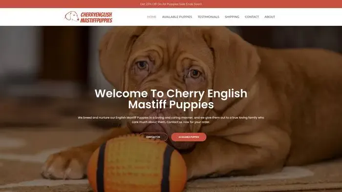 Screenshot of
