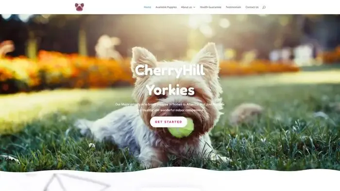 Screenshot of