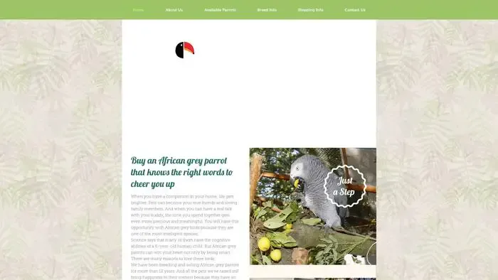 Screenshot of