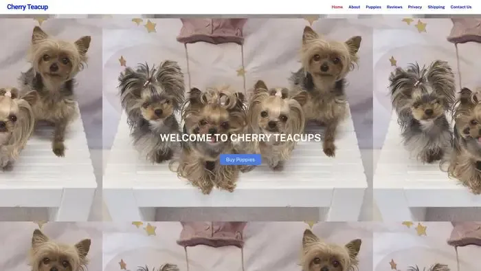 Screenshot of