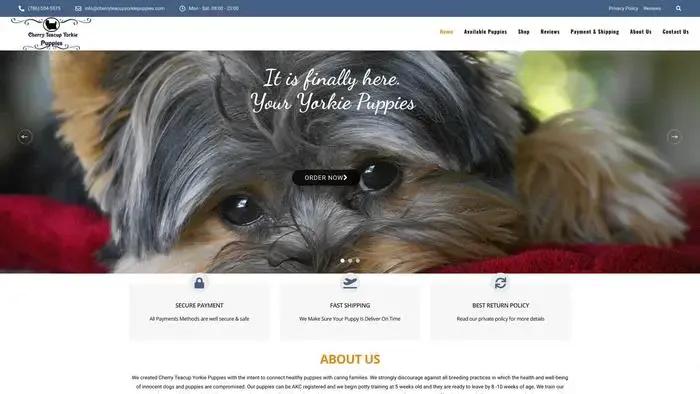 Screenshot of