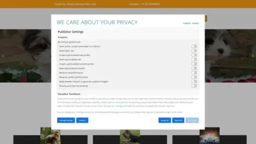 Screenshot of