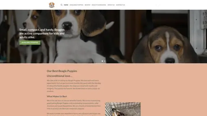 Screenshot of