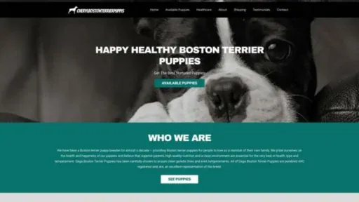 Screenshot of||