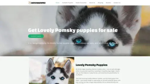 Screenshot of||