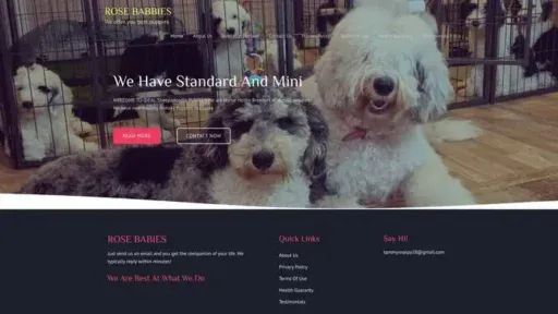 Screenshot of