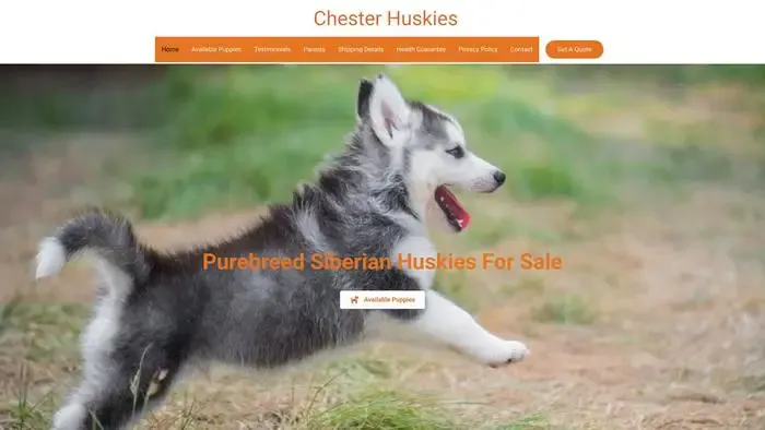 Screenshot of