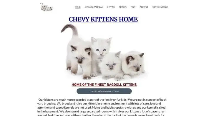 Screenshot of